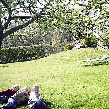 Ferienwohnung Im Haus Am Wald Brilon Kültér fotó